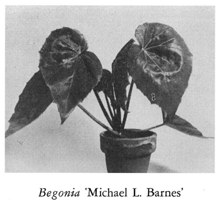 B. ‘Michael L. Barnes’